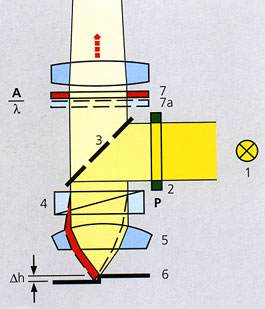 DIC Ray path in incident light